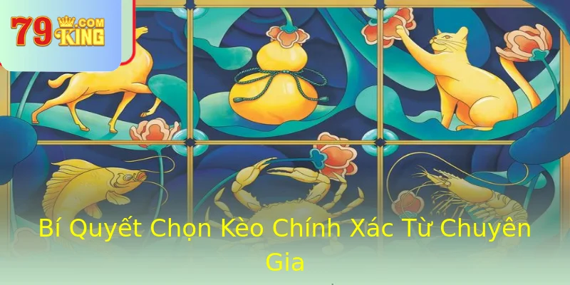 Bí Quyết Chọn Kèo Chính Xác Từ Chuyên Gia